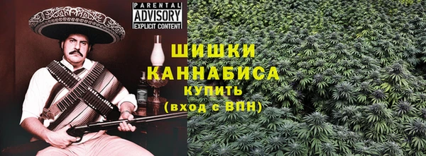 ПСИЛОЦИБИНОВЫЕ ГРИБЫ Белоозёрский