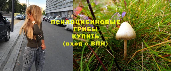 таблы Белокуриха