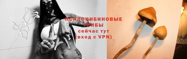 прущие крисы Тобольск