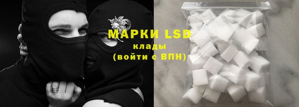 ПСИЛОЦИБИНОВЫЕ ГРИБЫ Беломорск