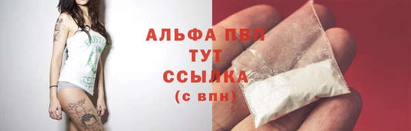 таблы Белокуриха