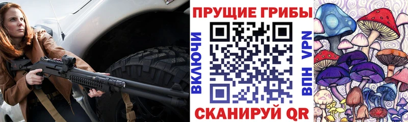 Псилоцибиновые грибы Cubensis Горнозаводск
